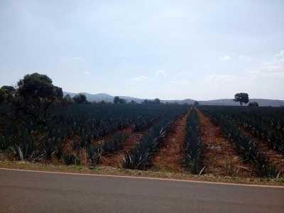 Residential Land For Sale in San Ignacio Cerro Gordo, Mexico