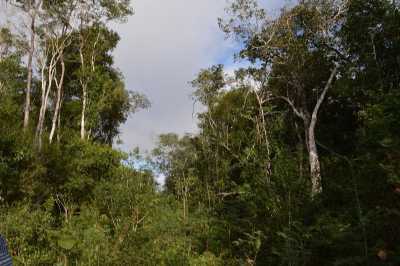 Development Site For Sale in Othon P. Blanco, Mexico