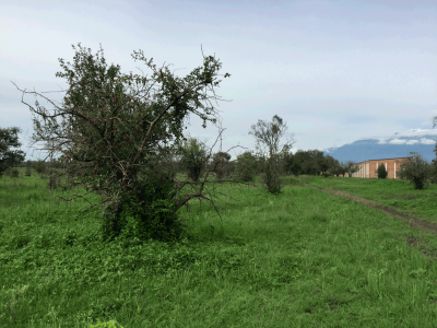 Residential Land For Sale in Huejotzingo, Mexico