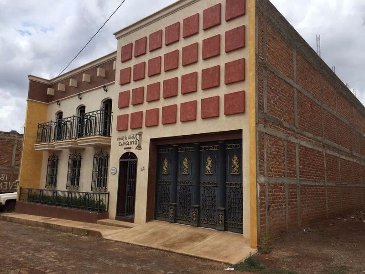 Picture of Apartment Building For Sale in San Ignacio Cerro Gordo, Jalisco, Mexico