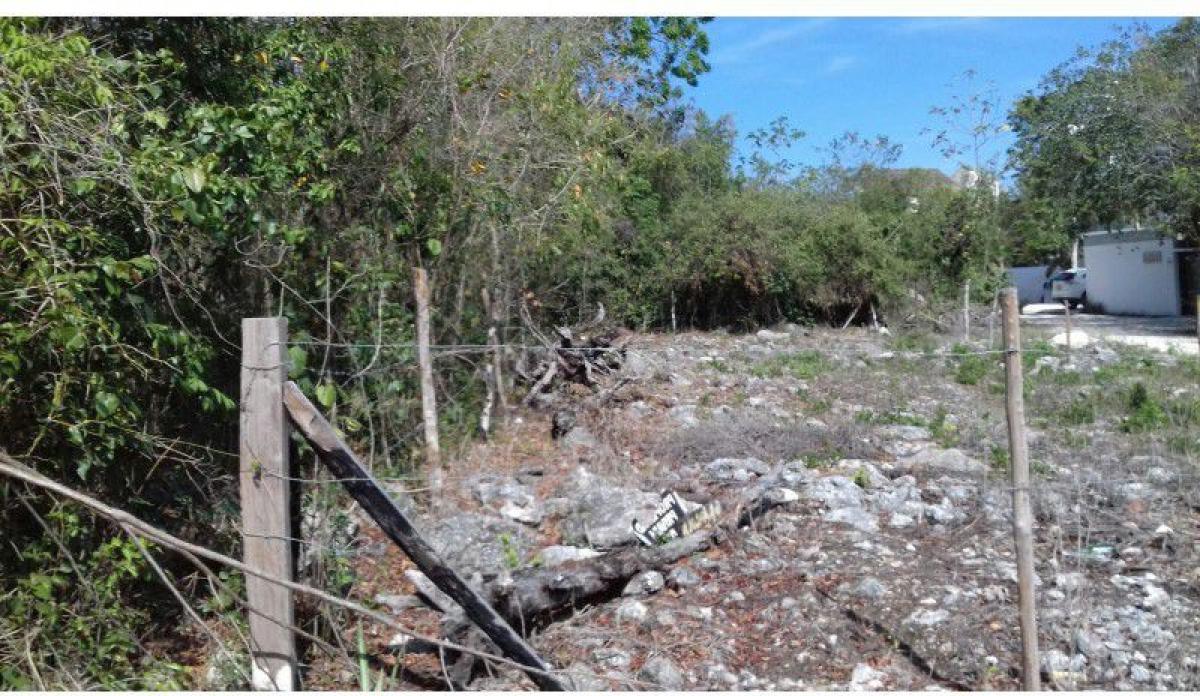 Picture of Residential Land For Sale in Tulum, Quintana Roo, Mexico