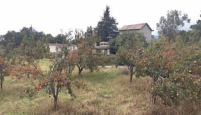 Other Commercial For Sale in Ixtapaluca, Mexico