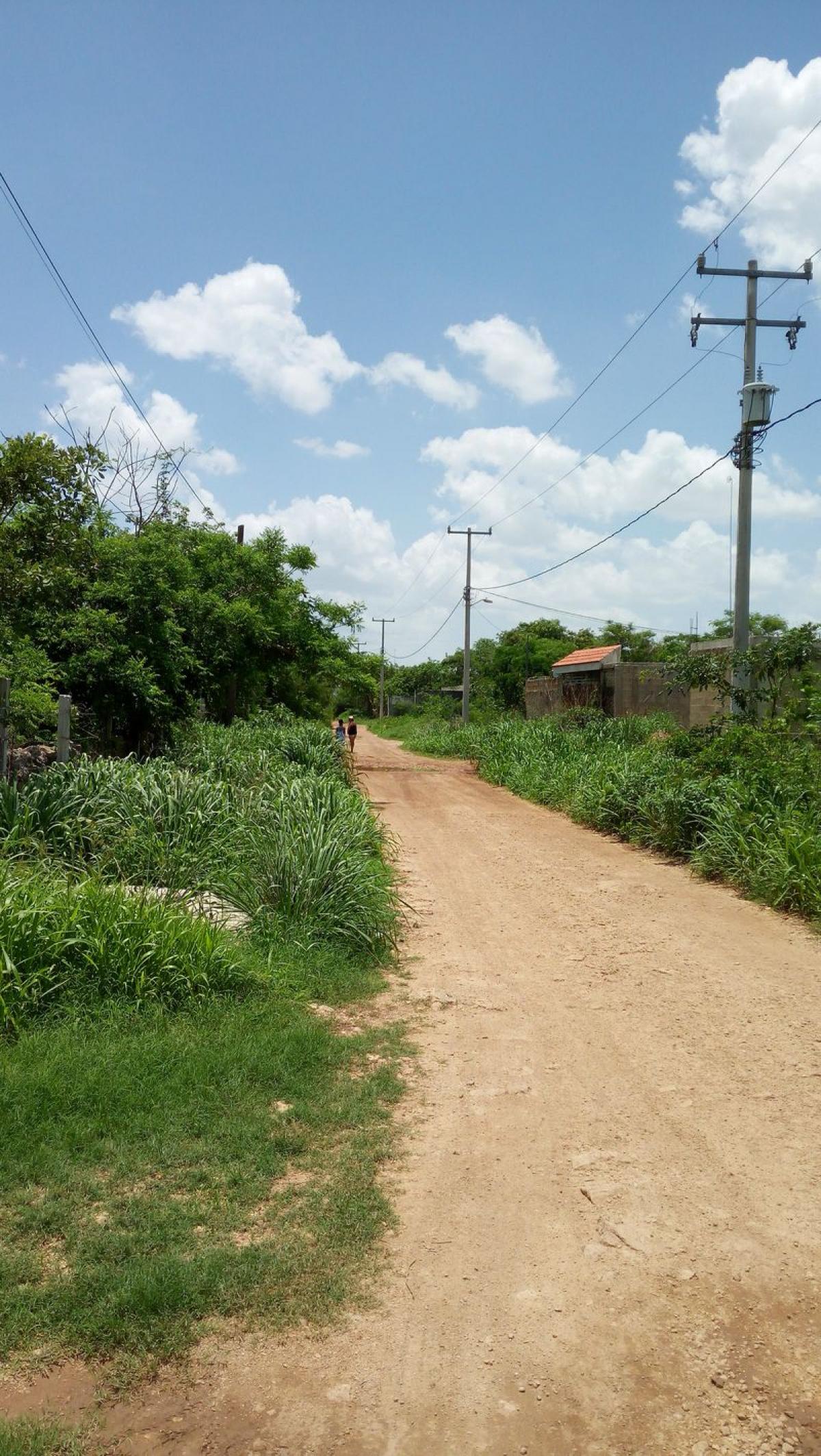 Picture of Other Commercial For Sale in Merida, Yucatan, Mexico