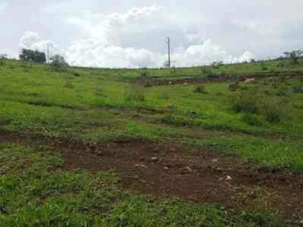 Picture of Residential Land For Sale in Tonila, Jalisco, Mexico