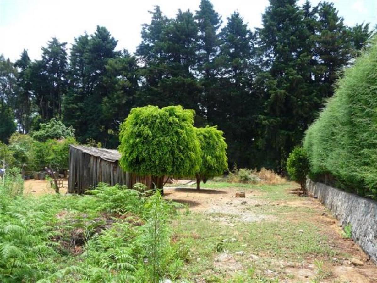 Picture of Residential Land For Sale in Ocuilan, Mexico, Mexico