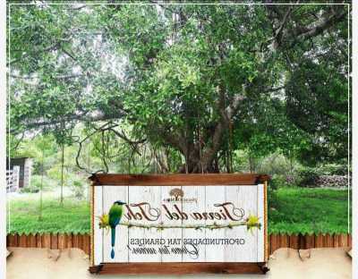 Residential Land For Sale in Izamal, Mexico