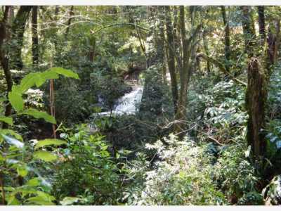 Residential Land For Sale in Valle De Bravo, Mexico