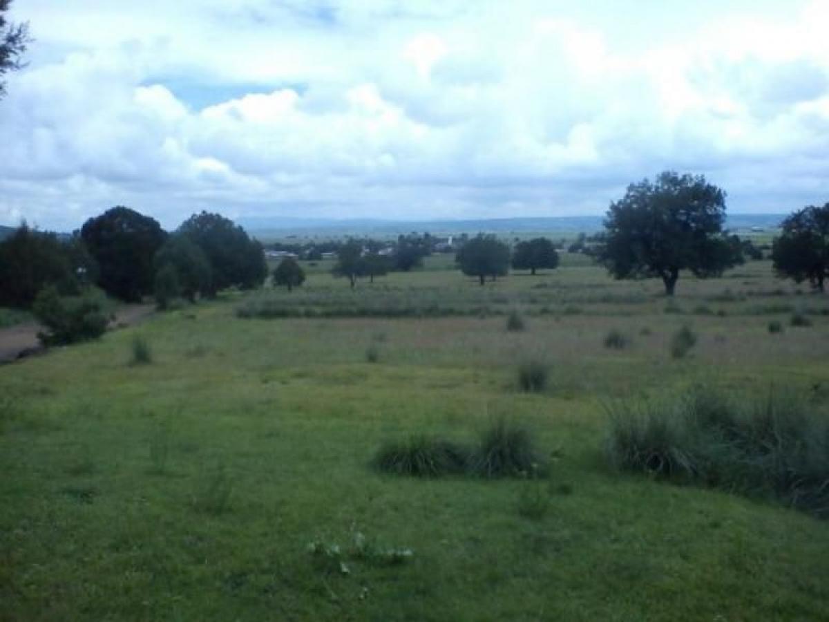 Picture of Residential Land For Sale in Atlangatepec, Tlaxcala, Mexico
