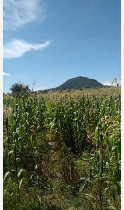 Residential Land For Sale in Calpan, Mexico