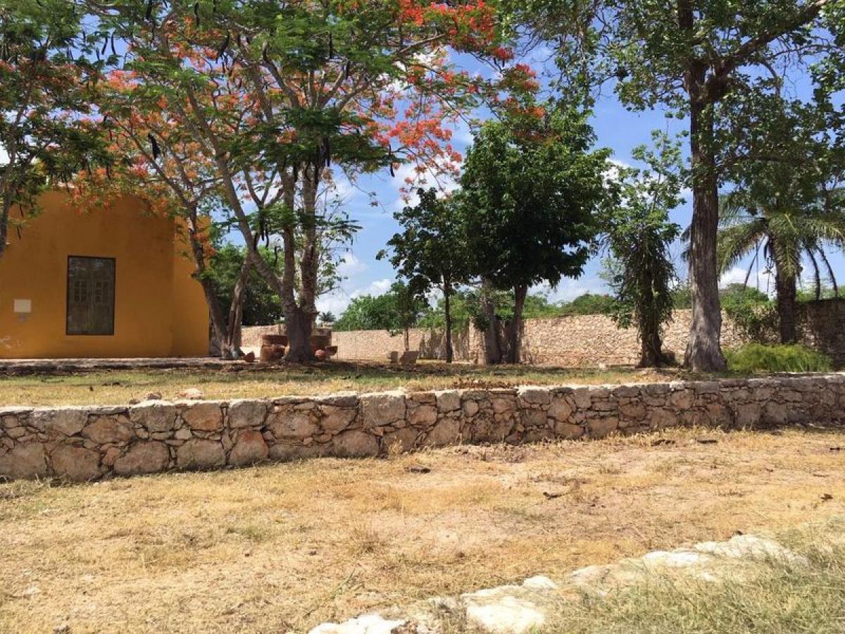 Picture of Development Site For Sale in Merida, Yucatan, Mexico