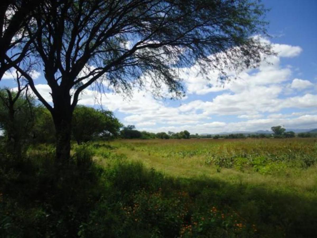 Picture of Residential Land For Sale in Silao, Guanajuato, Mexico