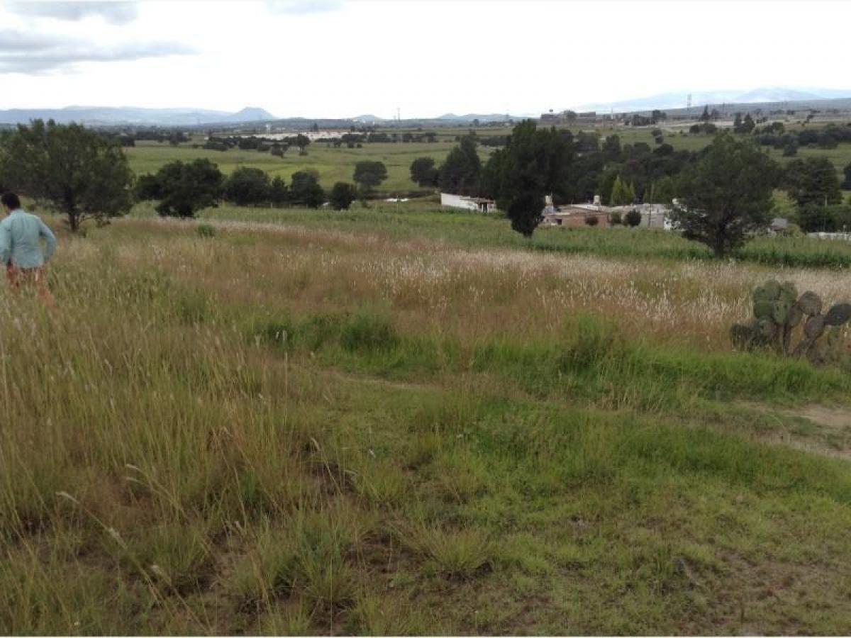 Picture of Residential Land For Sale in Tzompantepec, Tlaxcala, Mexico
