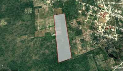 Residential Land For Sale in Dzidzantun, Mexico