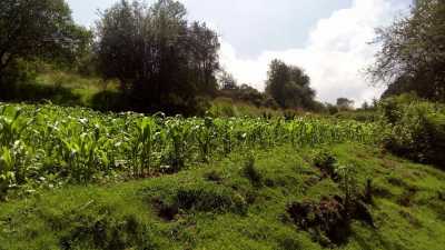 Residential Land For Sale in Villa Del Carbon, Mexico