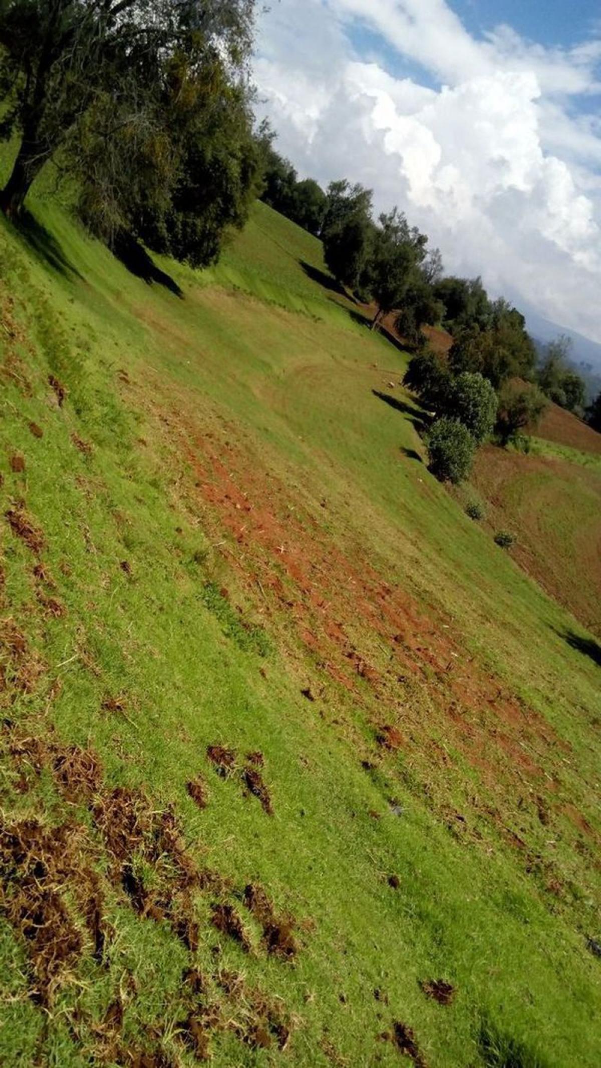 Picture of Residential Land For Sale in Villa Del Carbon, Mexico, Mexico