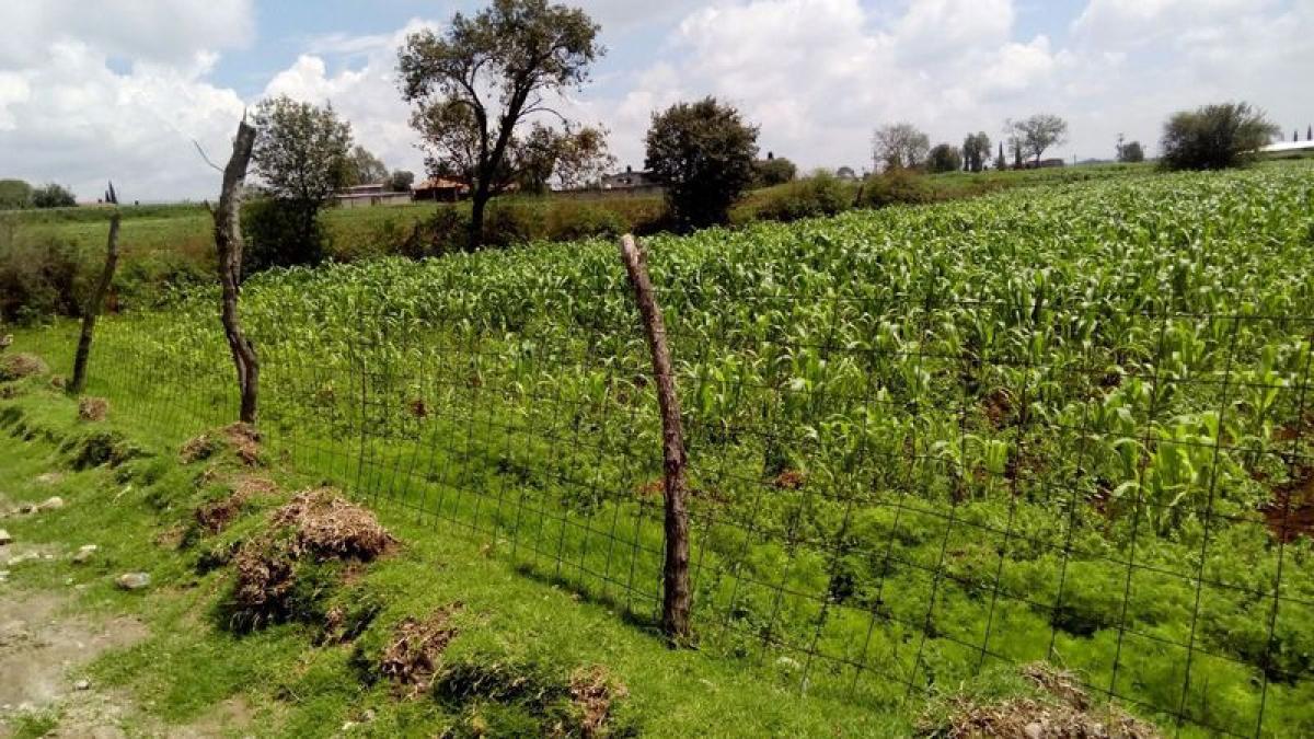 Picture of Residential Land For Sale in Villa Del Carbon, Mexico, Mexico