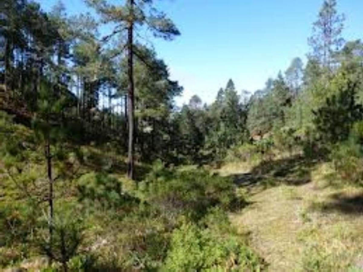 Picture of Home For Sale in Tlachichuca, Puebla, Mexico