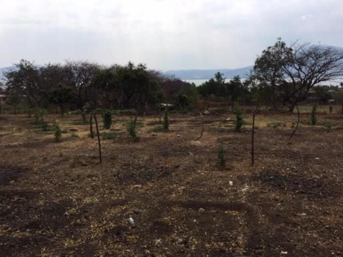 Picture of Residential Land For Sale in Jocotepec, Jalisco, Mexico