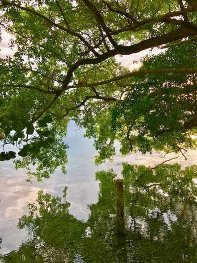 Development Site For Sale in Quintana Roo, Mexico