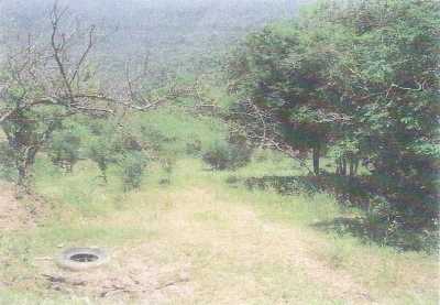 Development Site For Sale in Cadereyta Jimenez, Mexico
