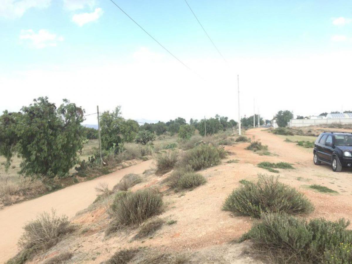 Picture of Residential Land For Sale in Zapotlan De Juarez, Hidalgo, Mexico