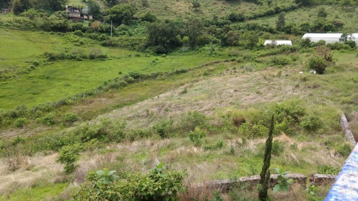 Picture of Residential Land For Sale in Ixtapan Del Oro, Mexico, Mexico