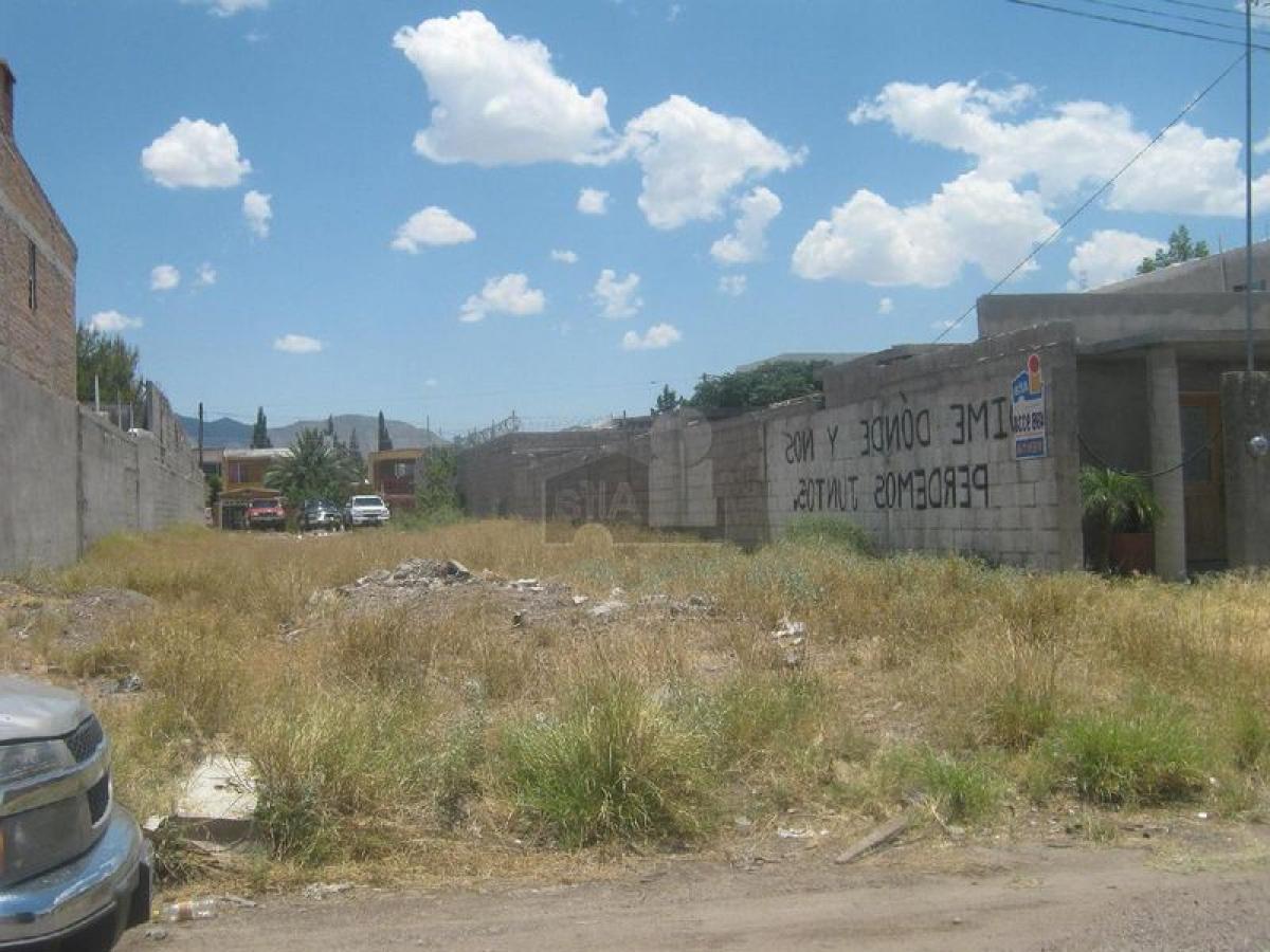 Picture of Residential Land For Sale in Camargo, Chihuahua, Mexico