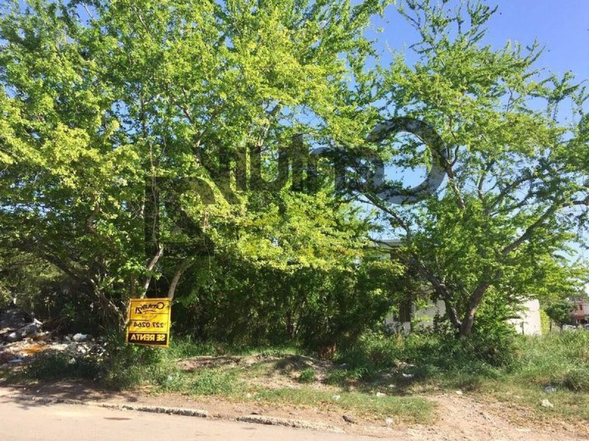 Picture of Residential Land For Sale in Tamaulipas, Tamaulipas, Mexico