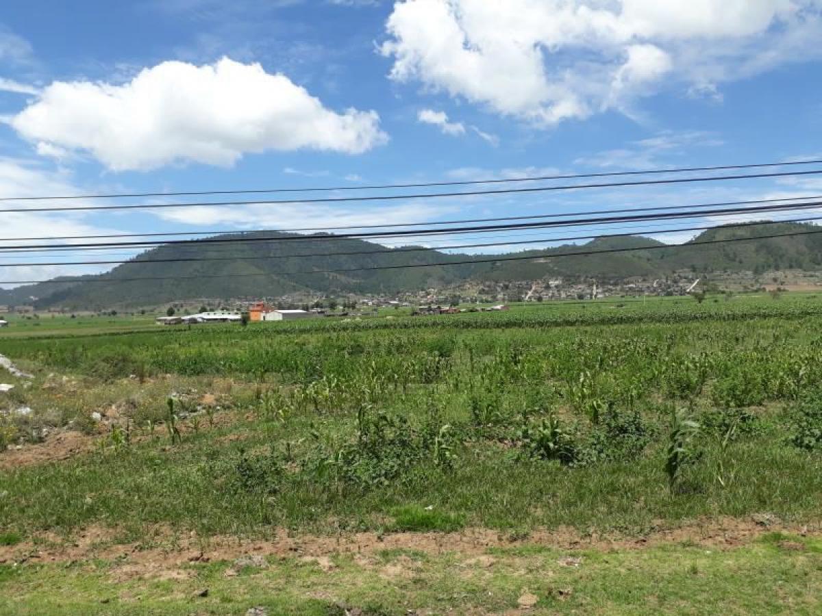 Picture of Residential Land For Sale in Zacapoaxtla, Puebla, Mexico