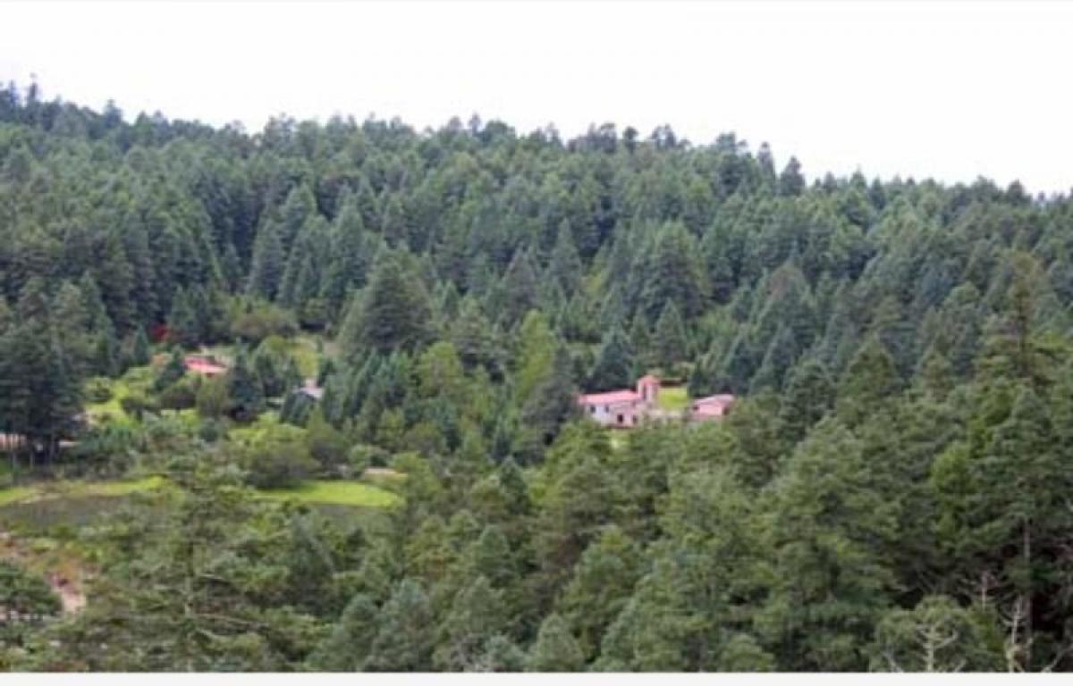 Picture of Residential Land For Sale in Hidalgo, Hidalgo, Mexico