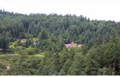 Residential Land For Sale in Hidalgo, Mexico