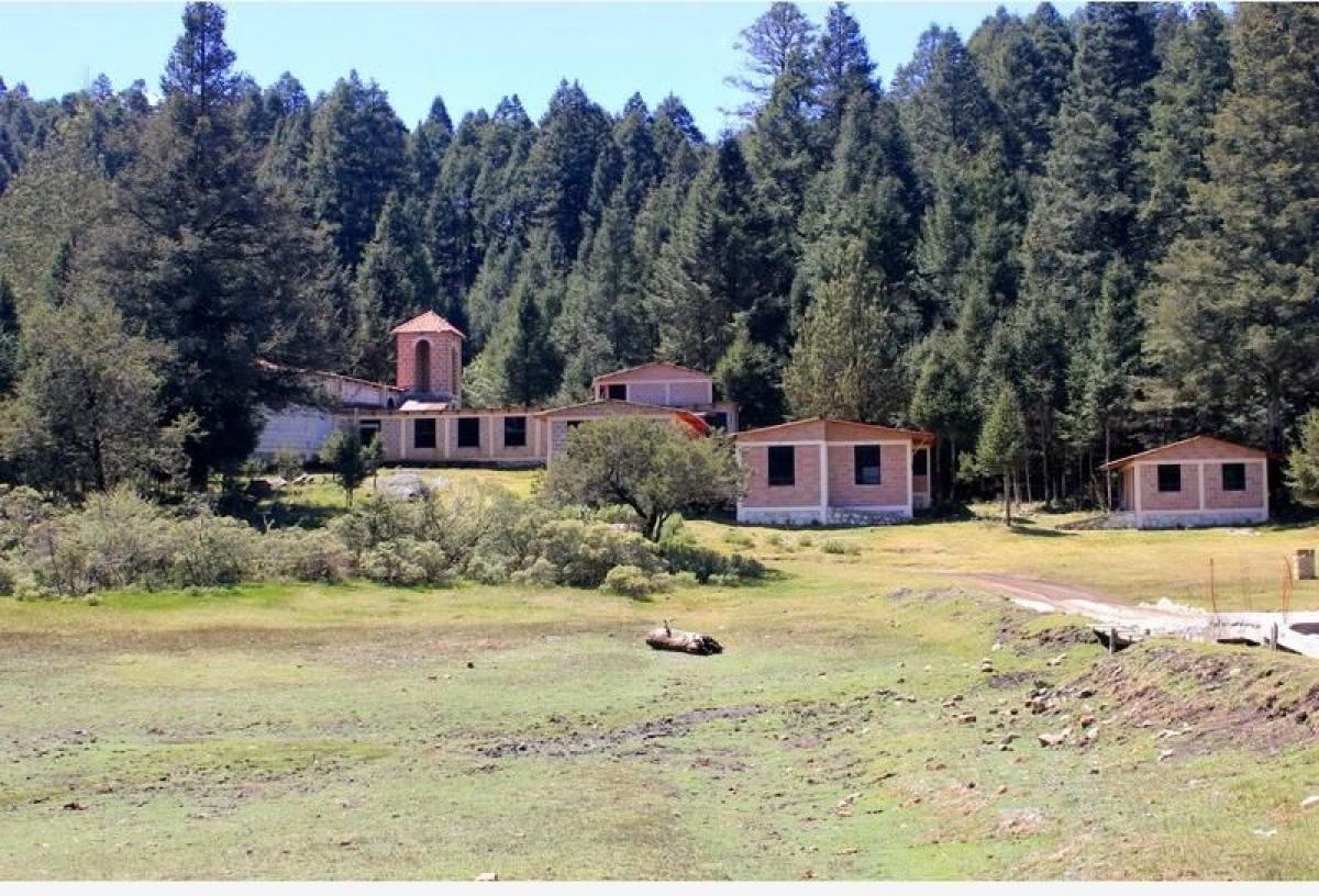 Picture of Residential Land For Sale in Hidalgo, Hidalgo, Mexico