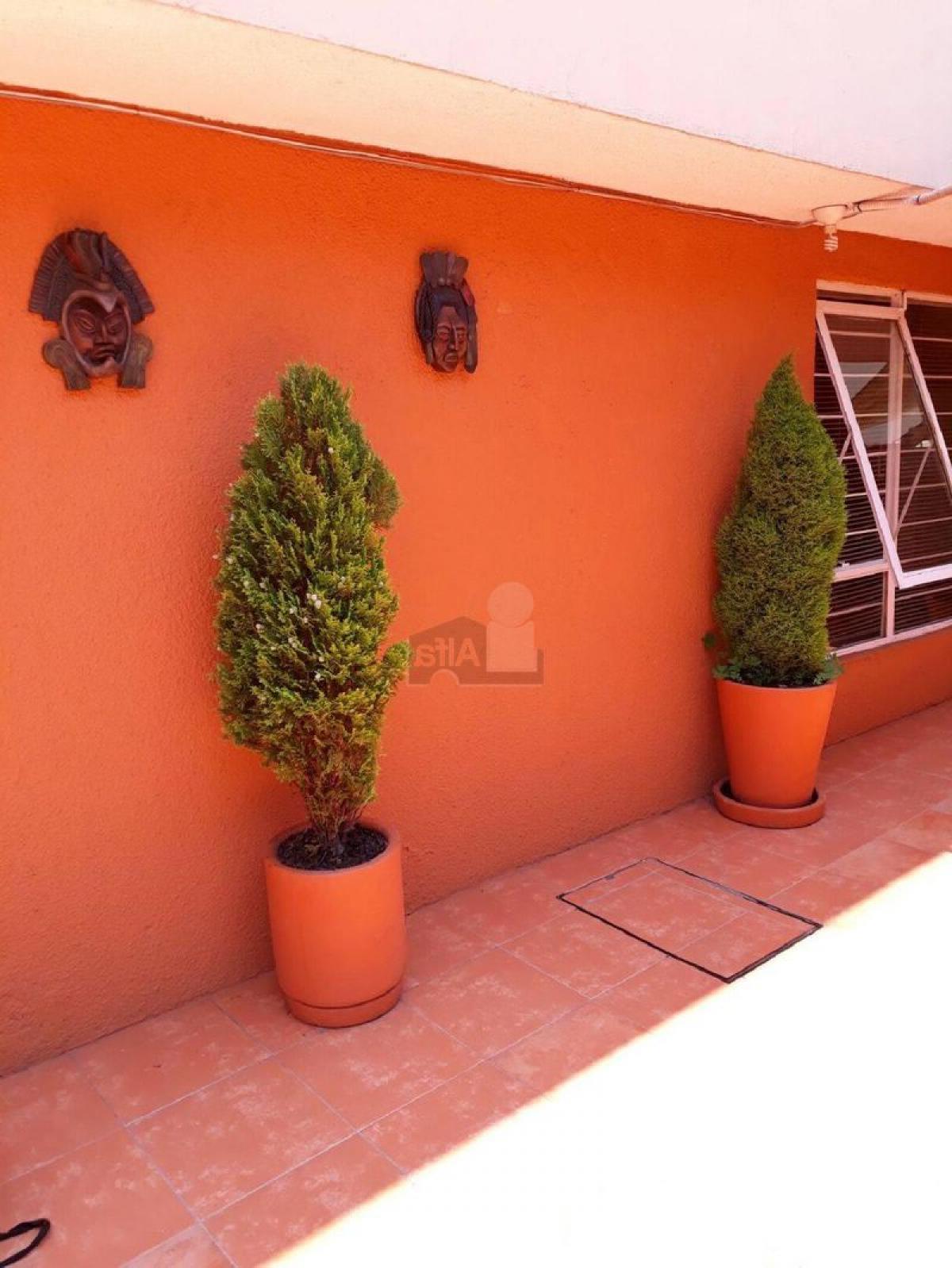 Picture of Apartment For Sale in Zempoala, Hidalgo, Mexico