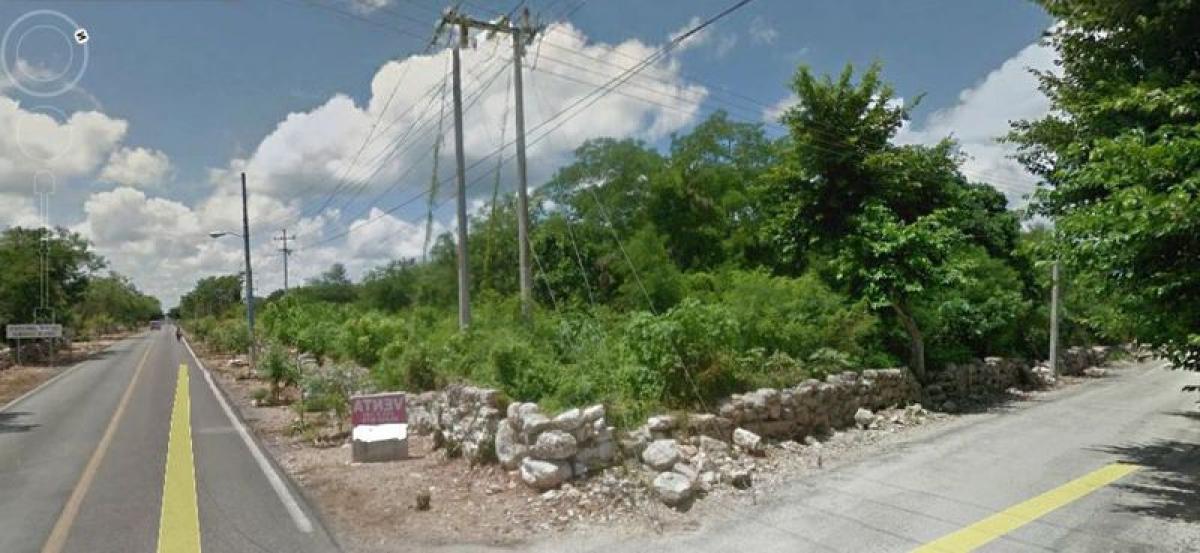 Picture of Other Commercial For Sale in Yucatan, Yucatan, Mexico