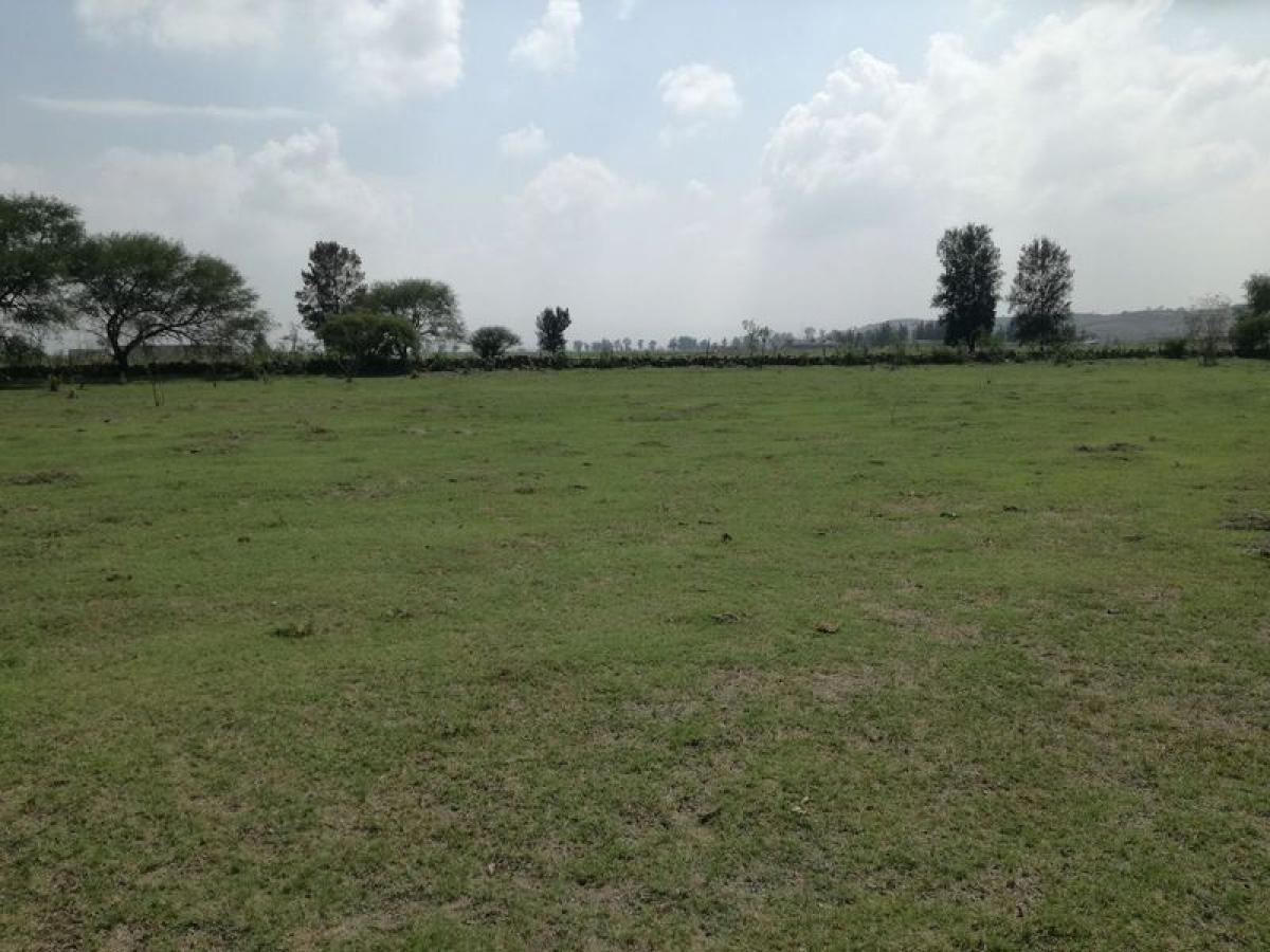 Picture of Residential Land For Sale in Teuchitlan, Jalisco, Mexico