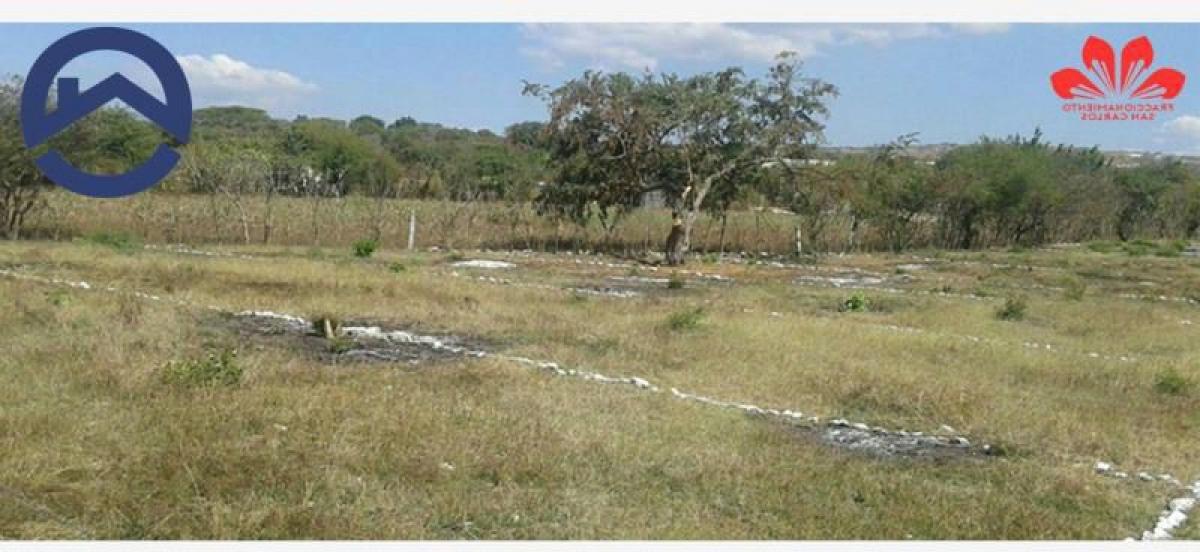 Picture of Residential Land For Sale in Chiapas, Chiapas, Mexico