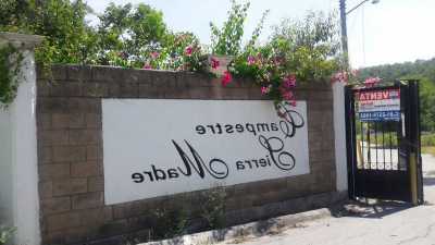 Other Commercial For Sale in Montemorelos, Mexico