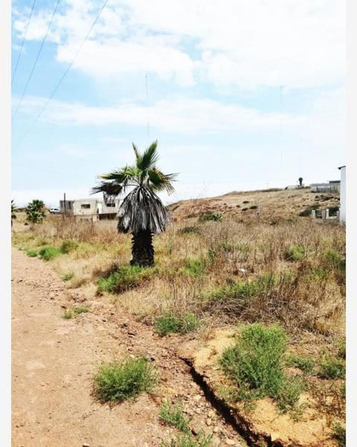 Picture of Residential Land For Sale in Baja California, Baja California, Mexico