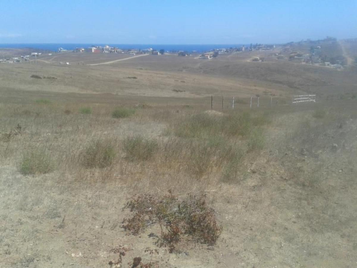 Picture of Residential Land For Sale in Baja California, Baja California, Mexico