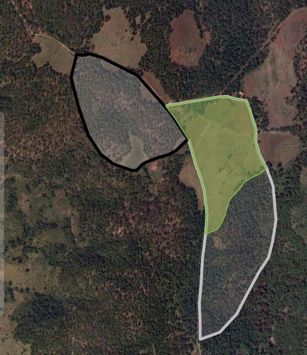 Picture of Residential Land For Sale in Chiquilistlan, Jalisco, Mexico