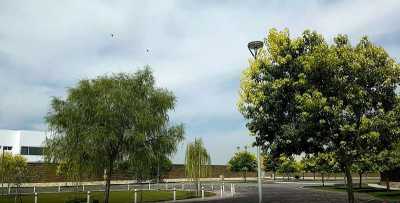 Residential Land For Sale in Playa Vicente, Mexico