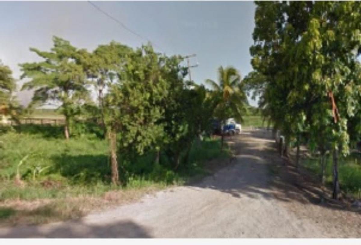 Picture of Residential Land For Sale in Palizada, Campeche, Mexico