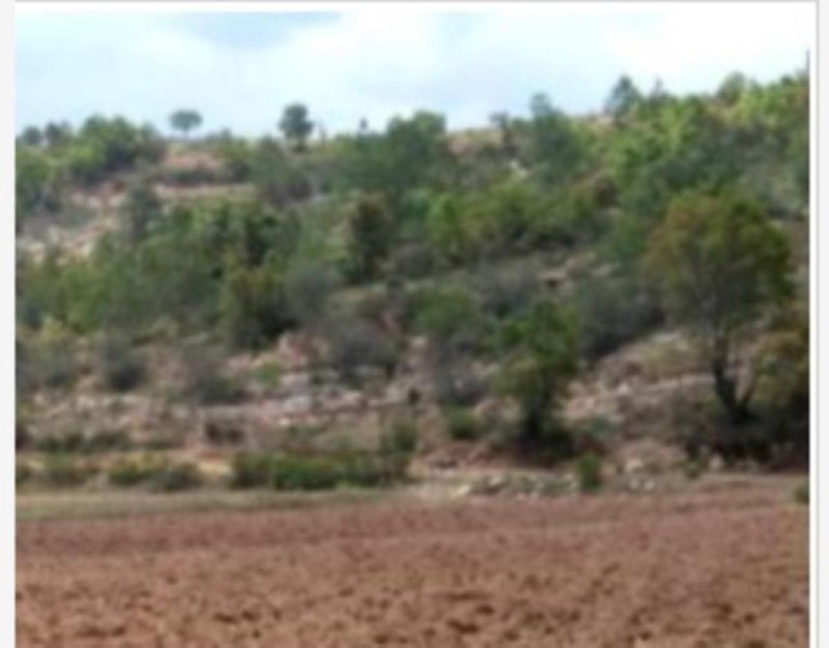 Picture of Residential Land For Sale in San Miguel Achiutla, Oaxaca, Mexico