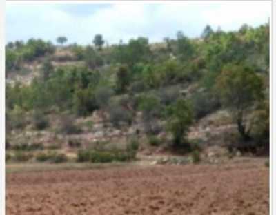 Residential Land For Sale in San Miguel Achiutla, Mexico