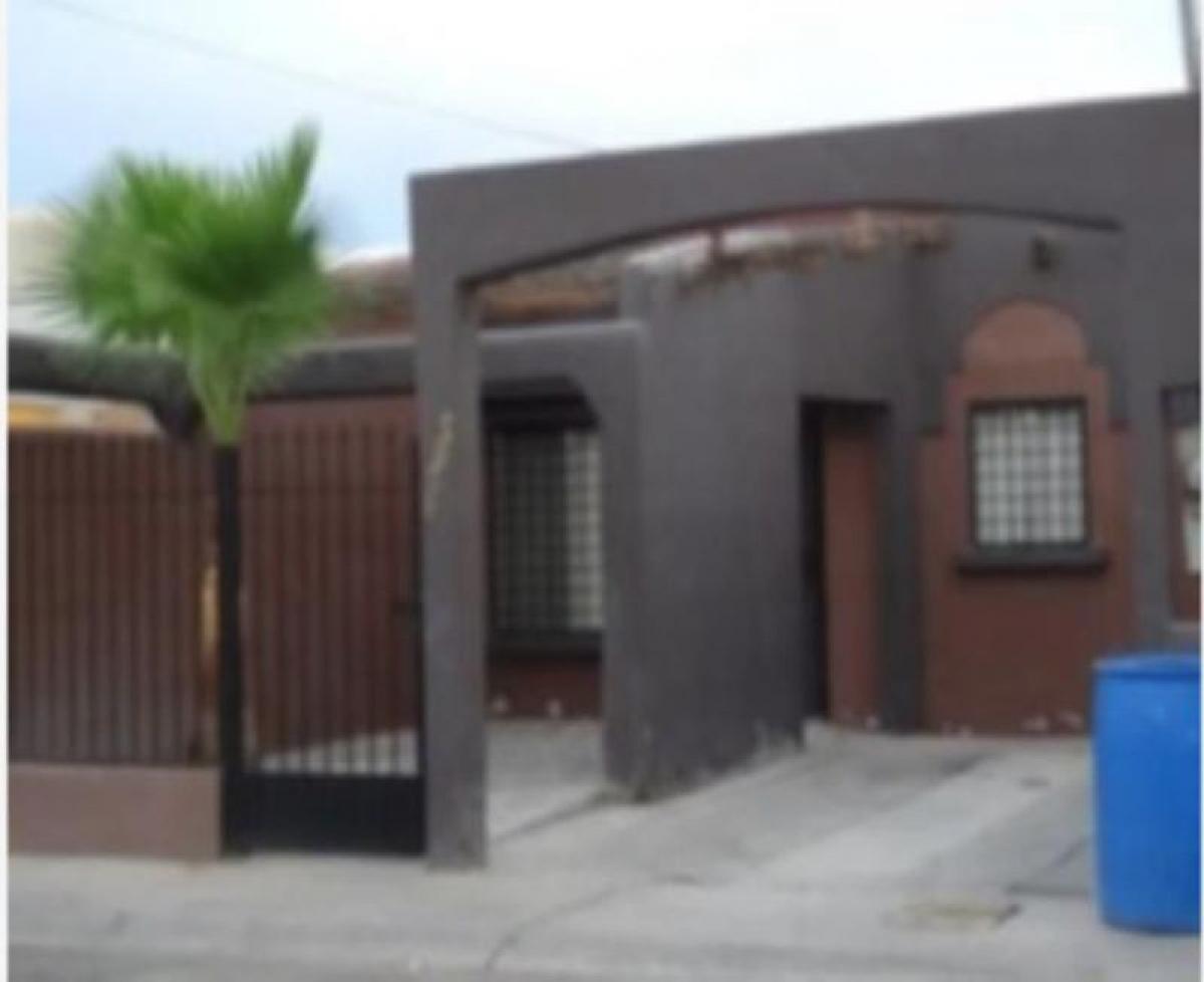San Luis Río Colorado, San Luis Rio Colorado, Sonora, Mexico Homes