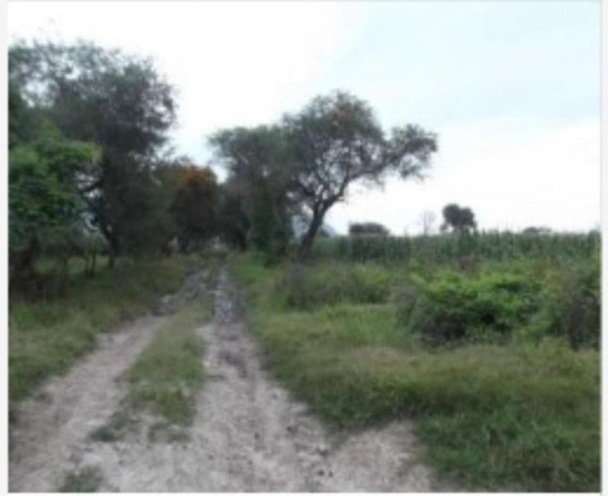 Picture of Residential Land For Sale in Atotonilco El Alto, Jalisco, Mexico