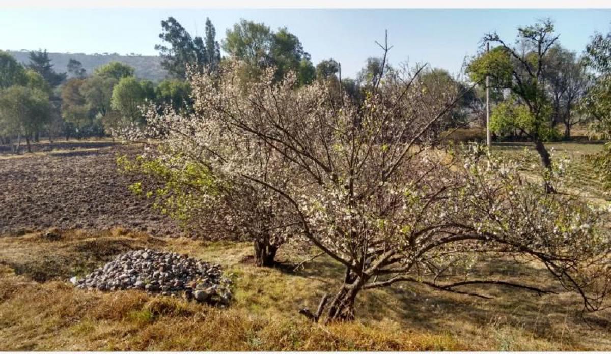 Picture of Residential Land For Sale in Tepeji Del Rio De Ocampo, Hidalgo, Mexico