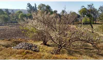 Residential Land For Sale in Tepeji Del Rio De Ocampo, Mexico