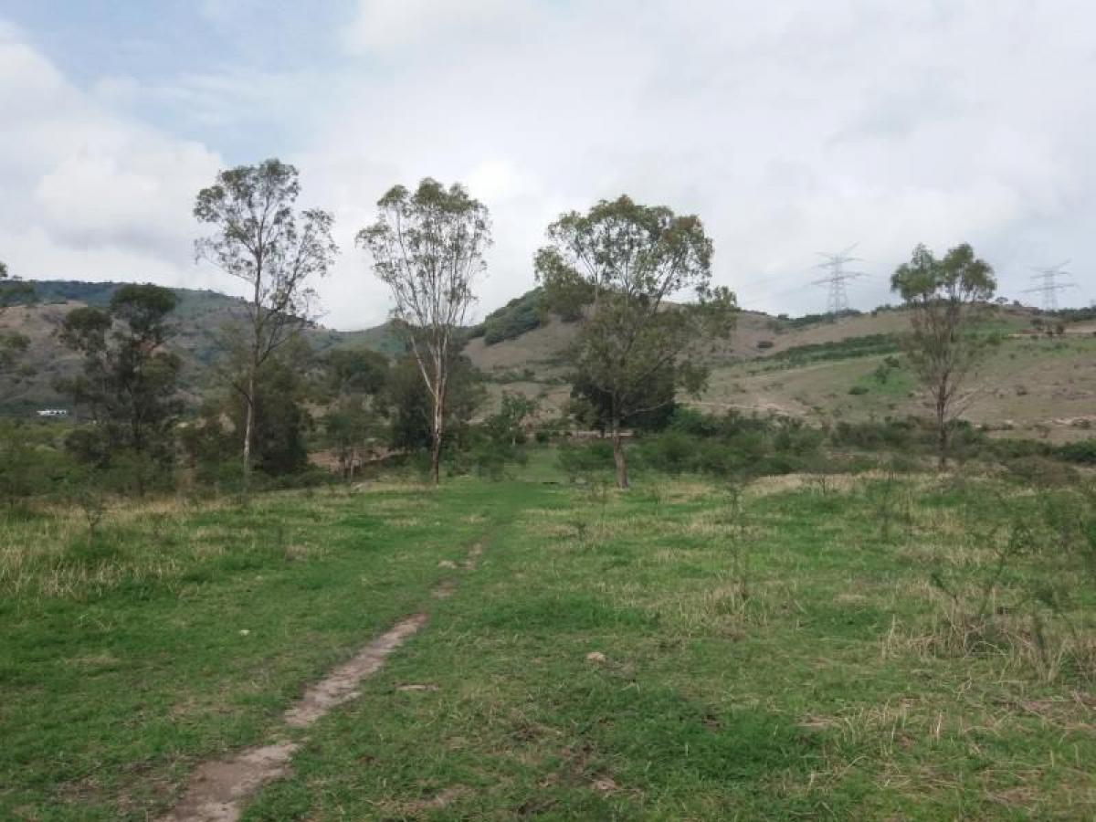 Picture of Residential Land For Sale in Jalisco, Jalisco, Mexico