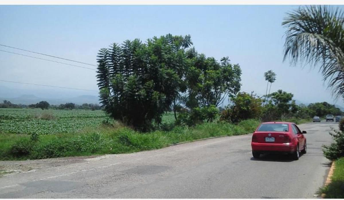 Picture of Residential Land For Sale in Yecapixtla, Morelos, Mexico